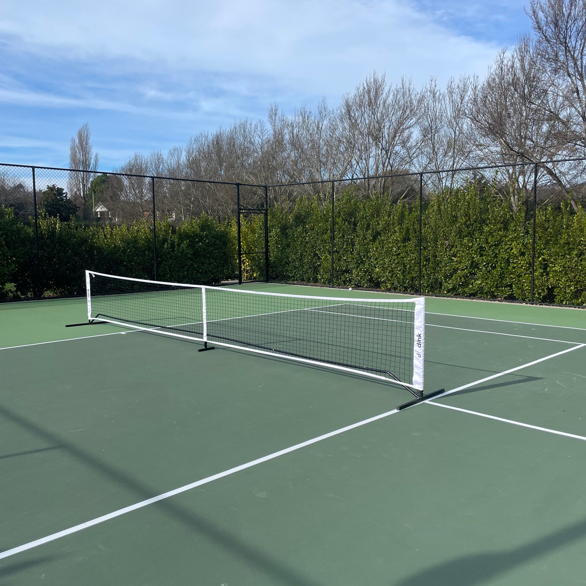 Pickleball net on a court.